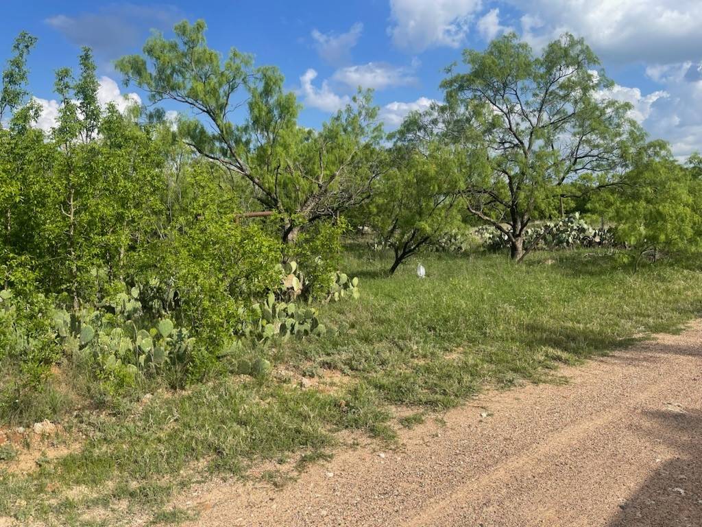 Anson, TX 79501,631 Avenue H