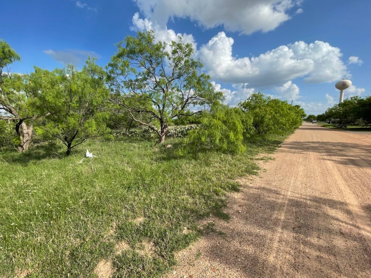 Anson, TX 79501,631 Avenue H