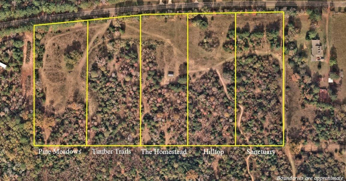 Chandler, TX 75758,19020 Pine Meadow Lot 1 FM 317