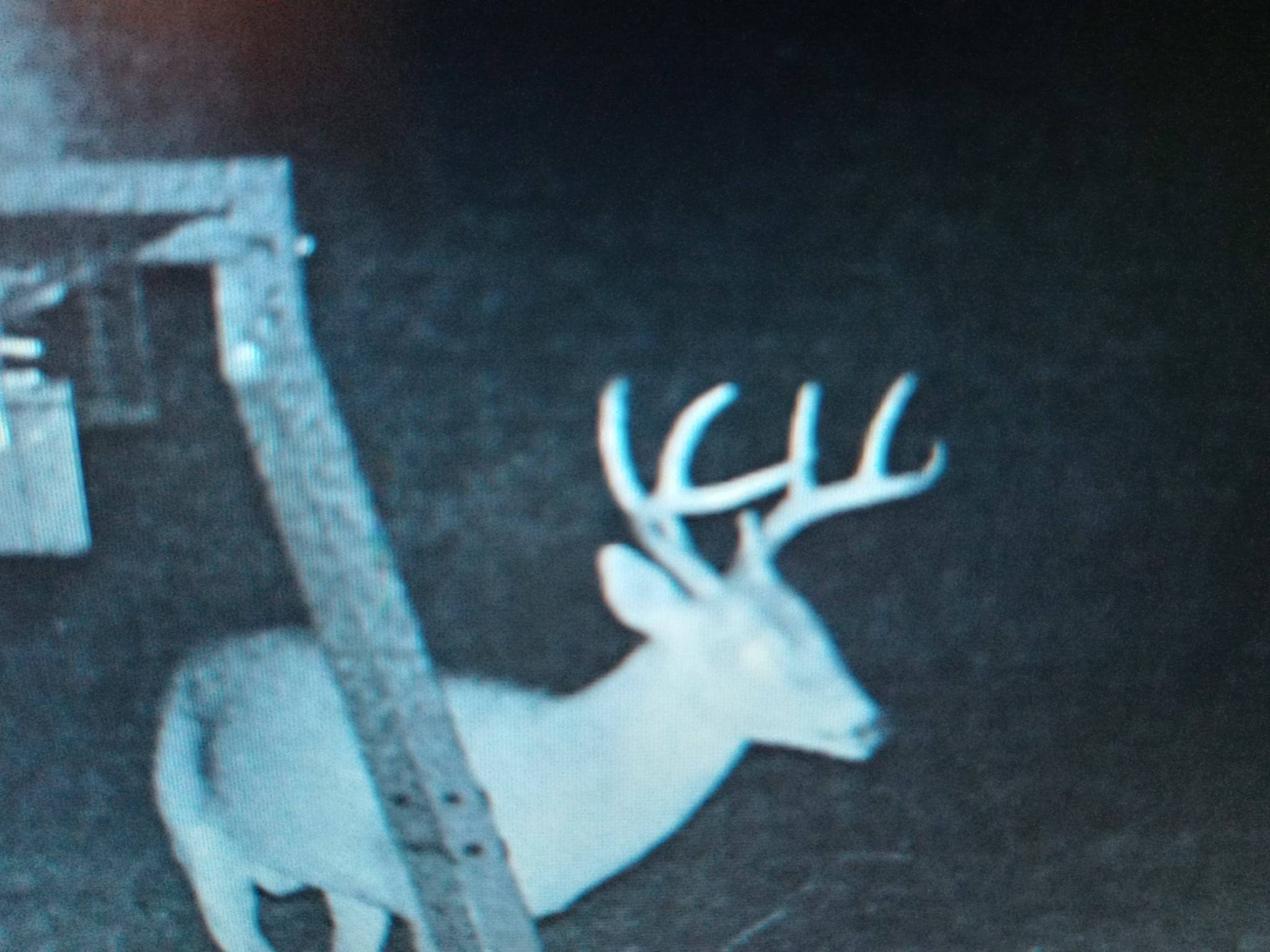 Fairfield, TX 75840,TBD Fm-1124