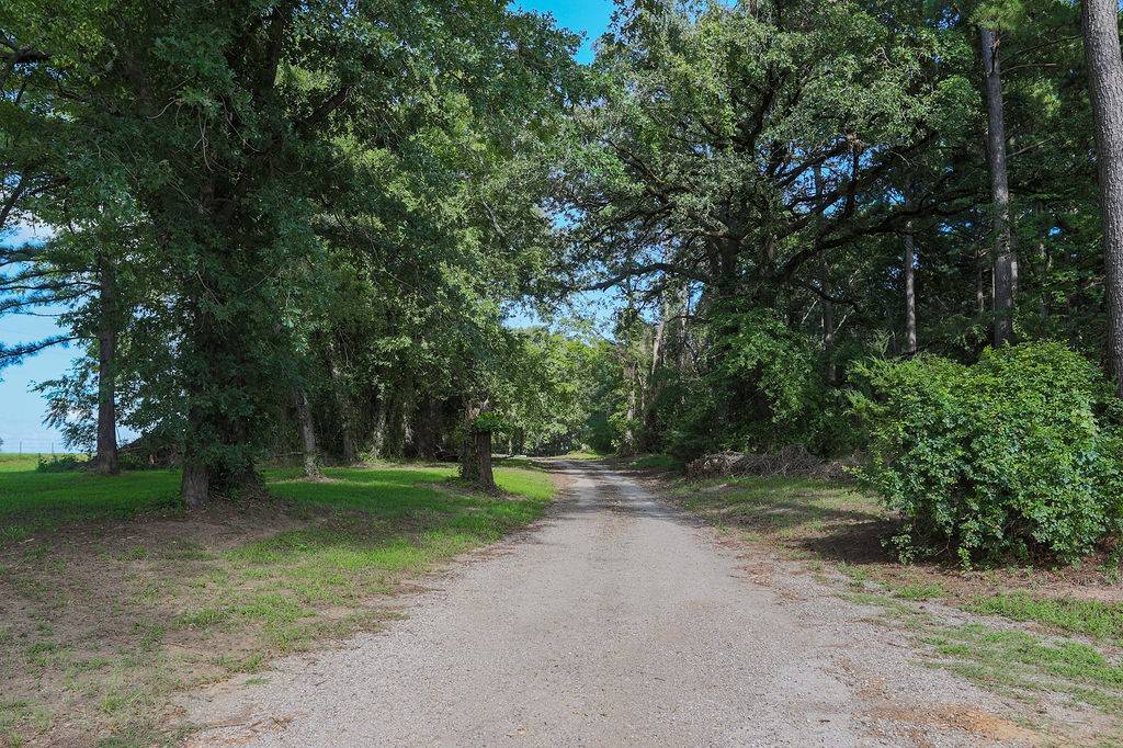 Mineola, TX 75773,23340 Fm 1253