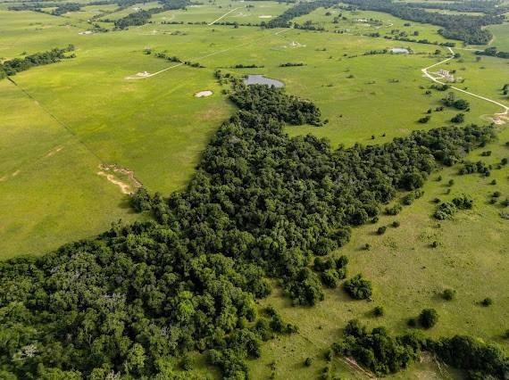 Franklin, TX 77856,70+/- Acres Turner