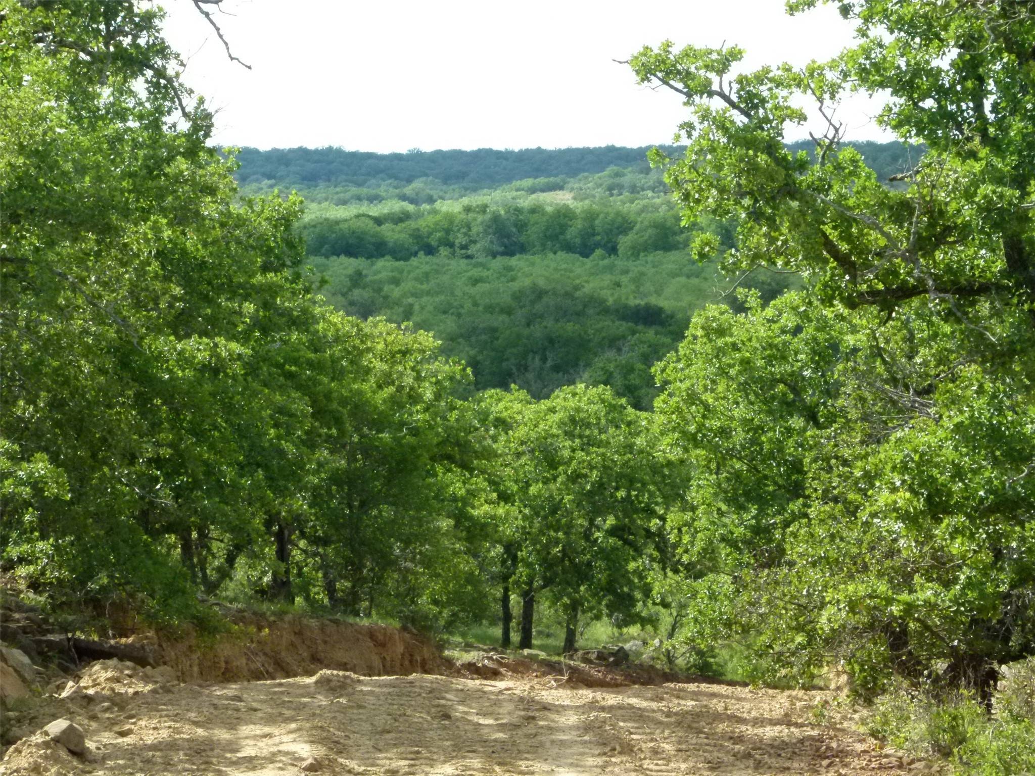 Brownwood, TX 76801,TBD County Road 424