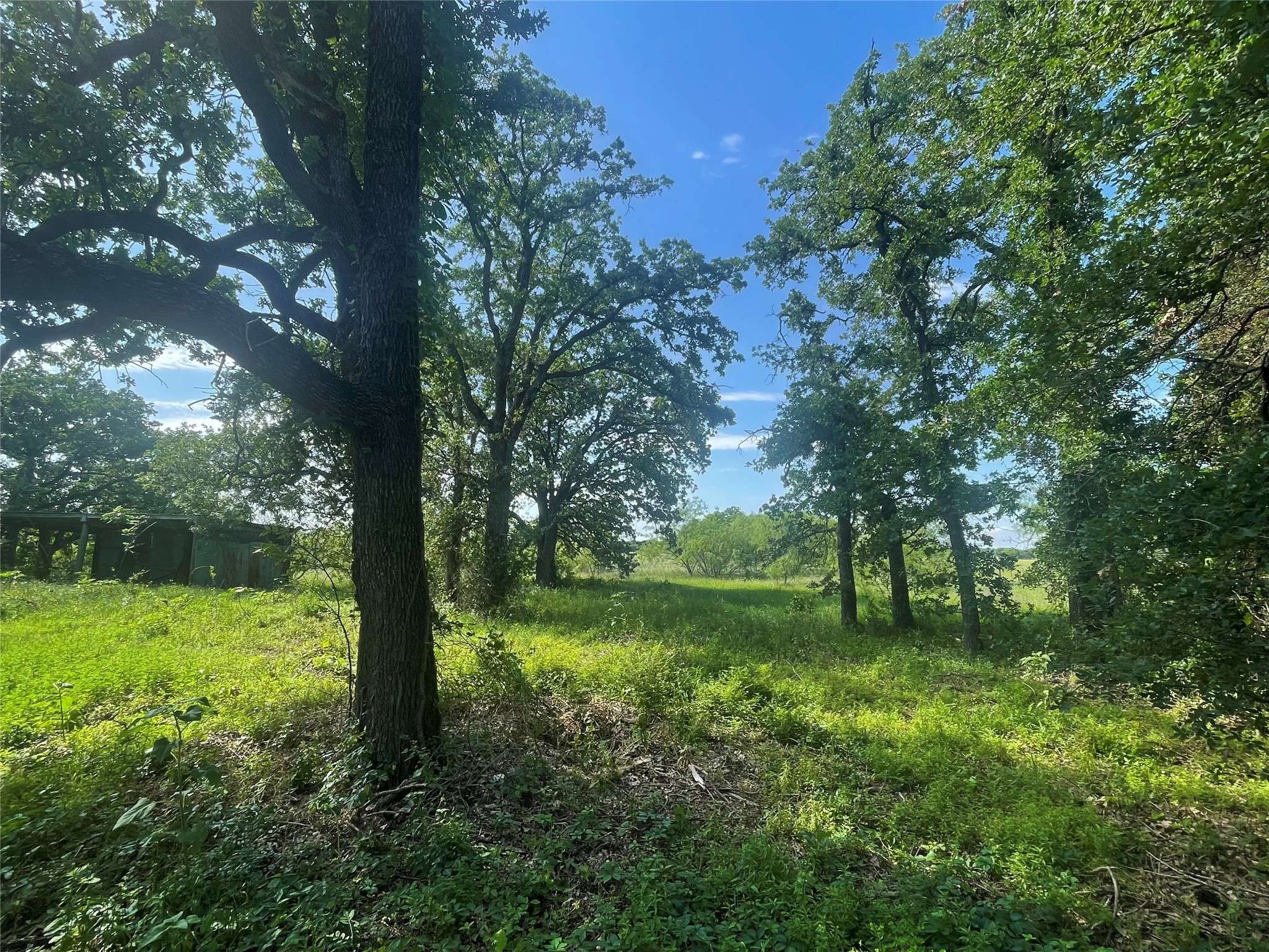 Elm Mott, TX 76705,1016 Ross Rd