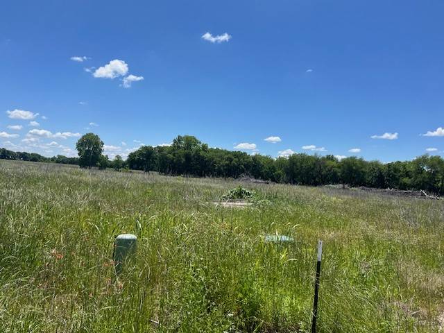 Pottsboro, TX 75076,000 Loving Trail