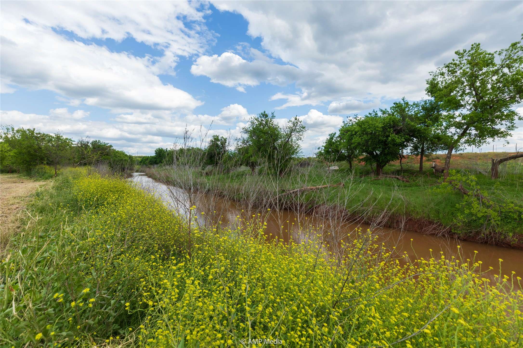 Abilene, TX 79601,LOT 1 TBD CR 327