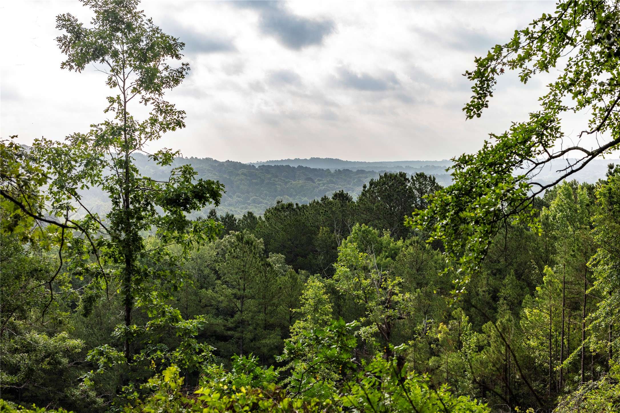 Brownsboro, TX 75756,9910 County Road 3418