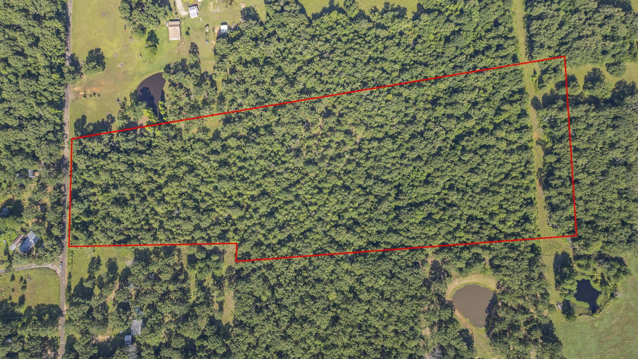 Grand Saline, TX 75140,Van Zandt 1517 CR