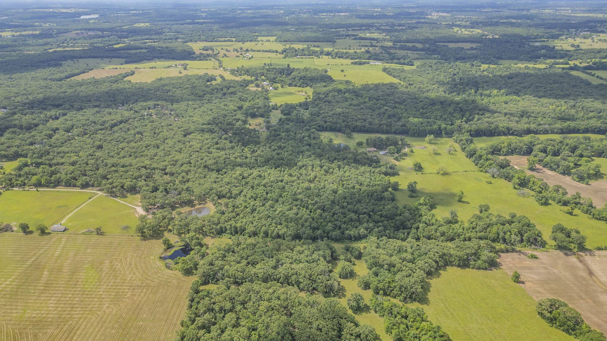 Grand Saline, TX 75140,Van Zandt 1517 CR
