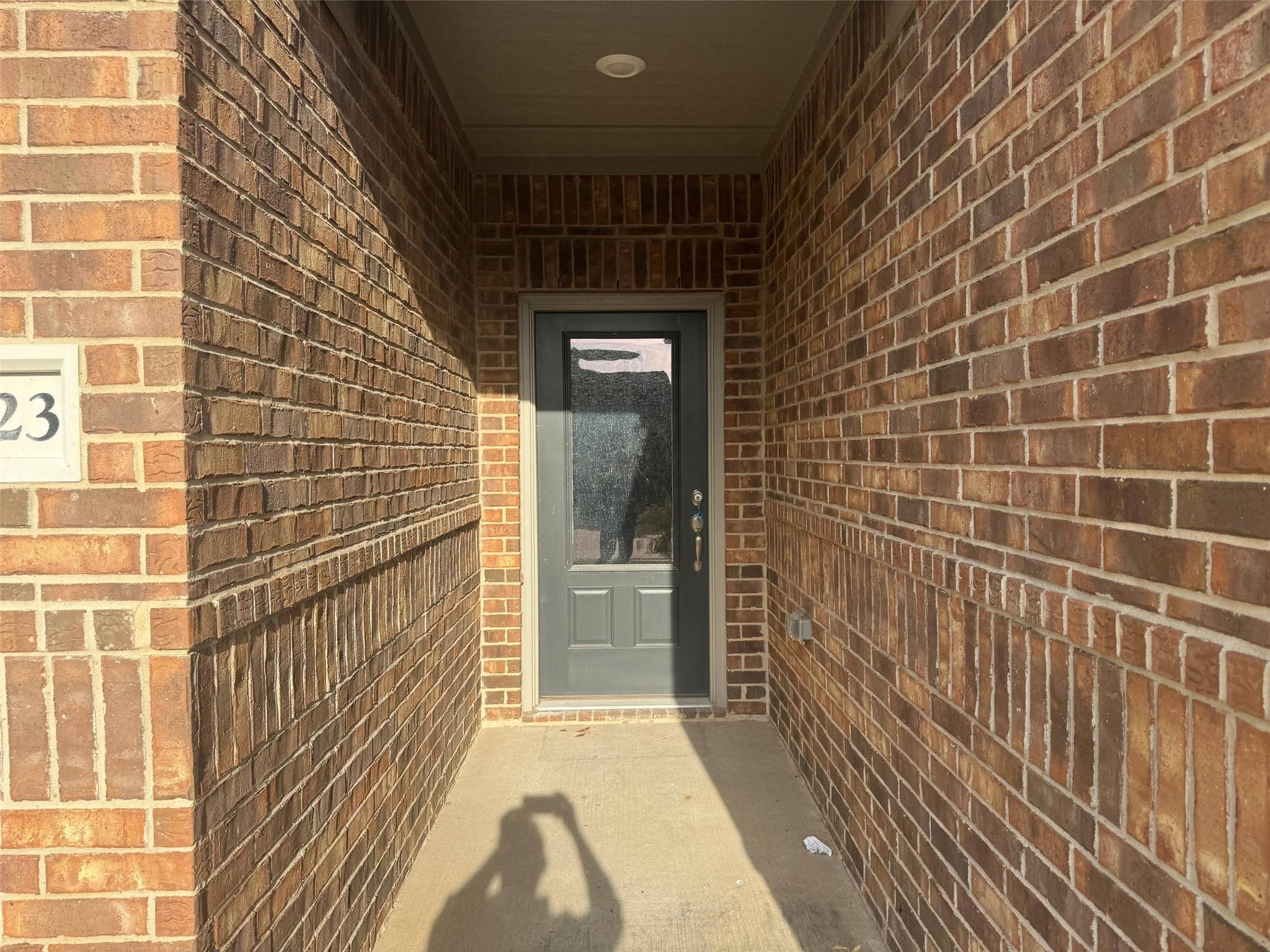 Princeton, TX 75407,1523 Parks Trail BLVD