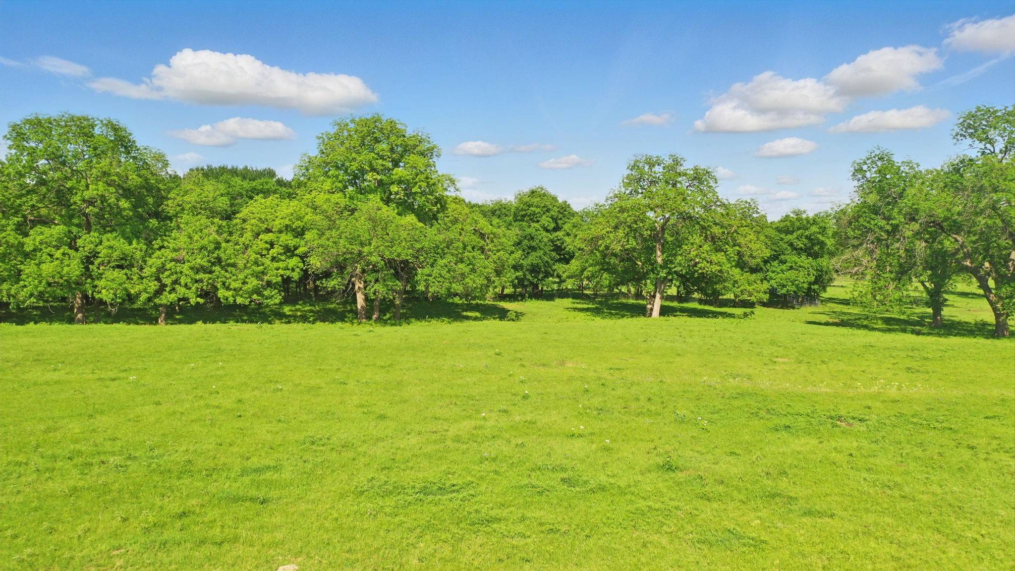 Granbury, TX 76048,Lot #1 TBD Caraway ST