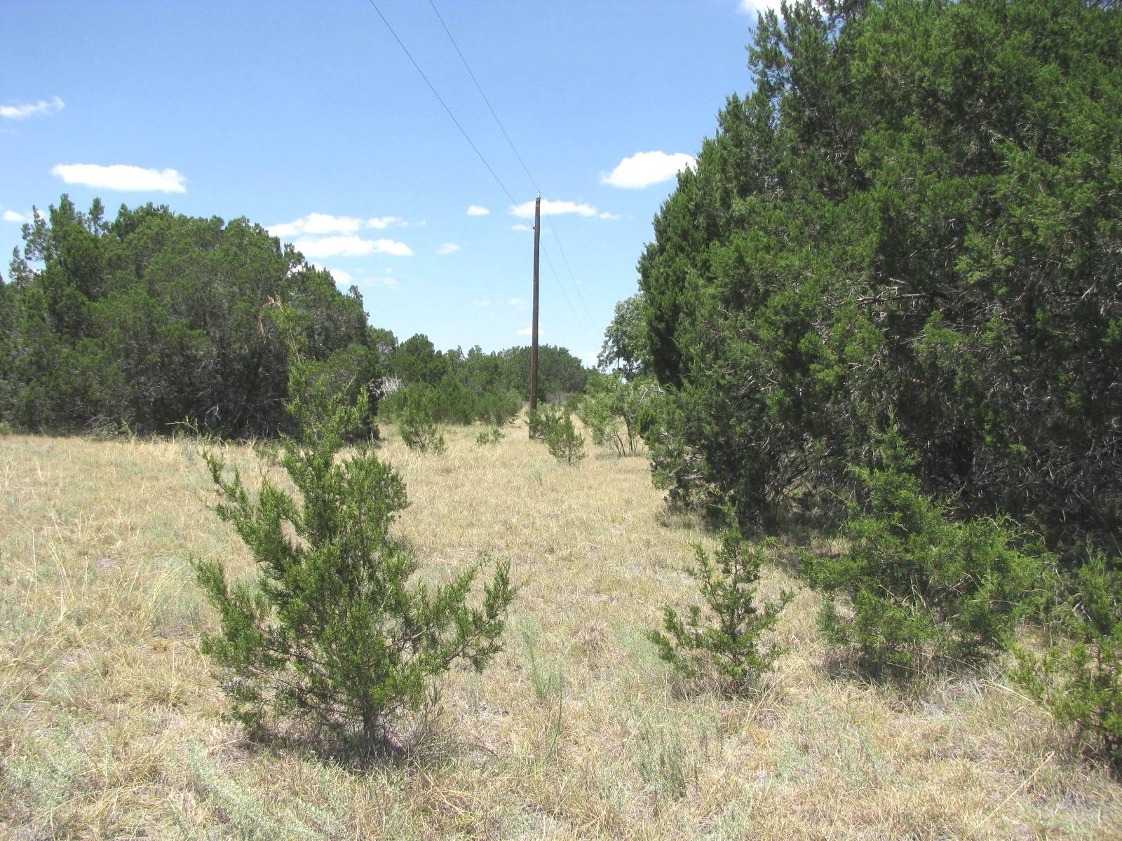 Evant, TX 76525,TBD-Lot 23 Ph 1 PR4218