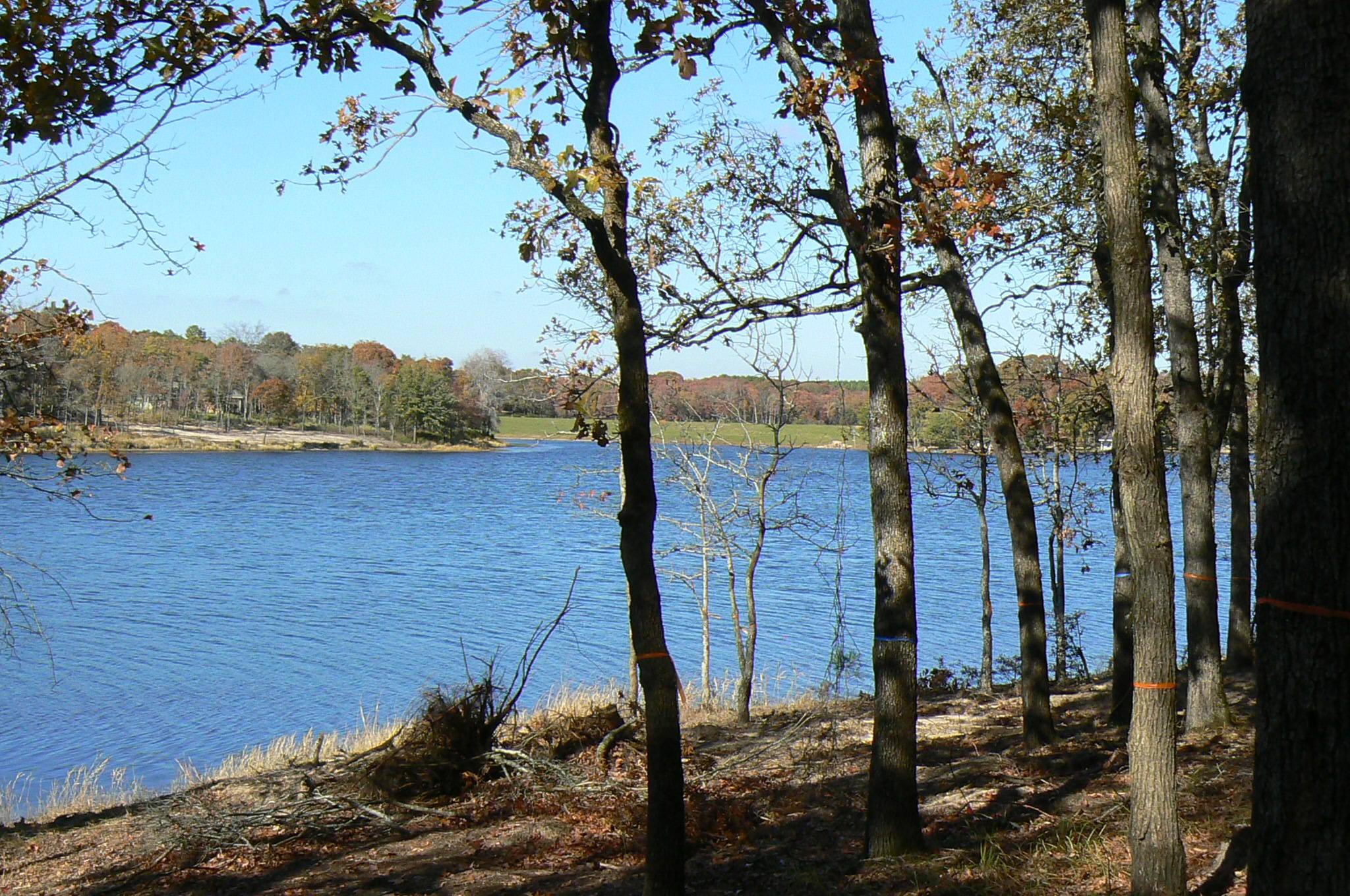 Larue, TX 75770,000 CR-4516