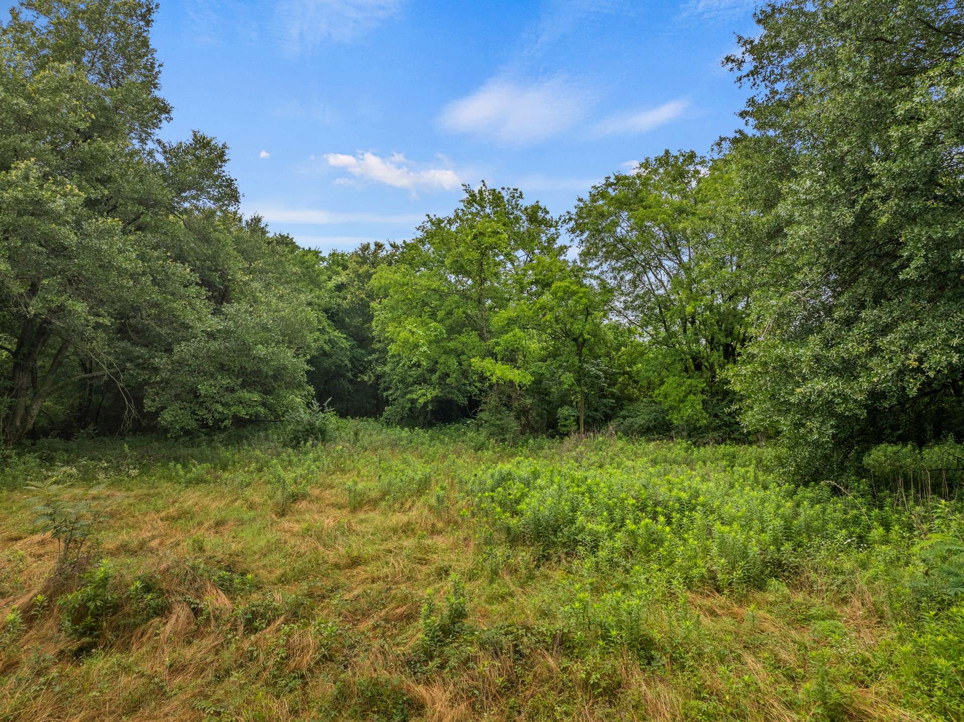 Mount Vernon, TX 75457,436 Grady