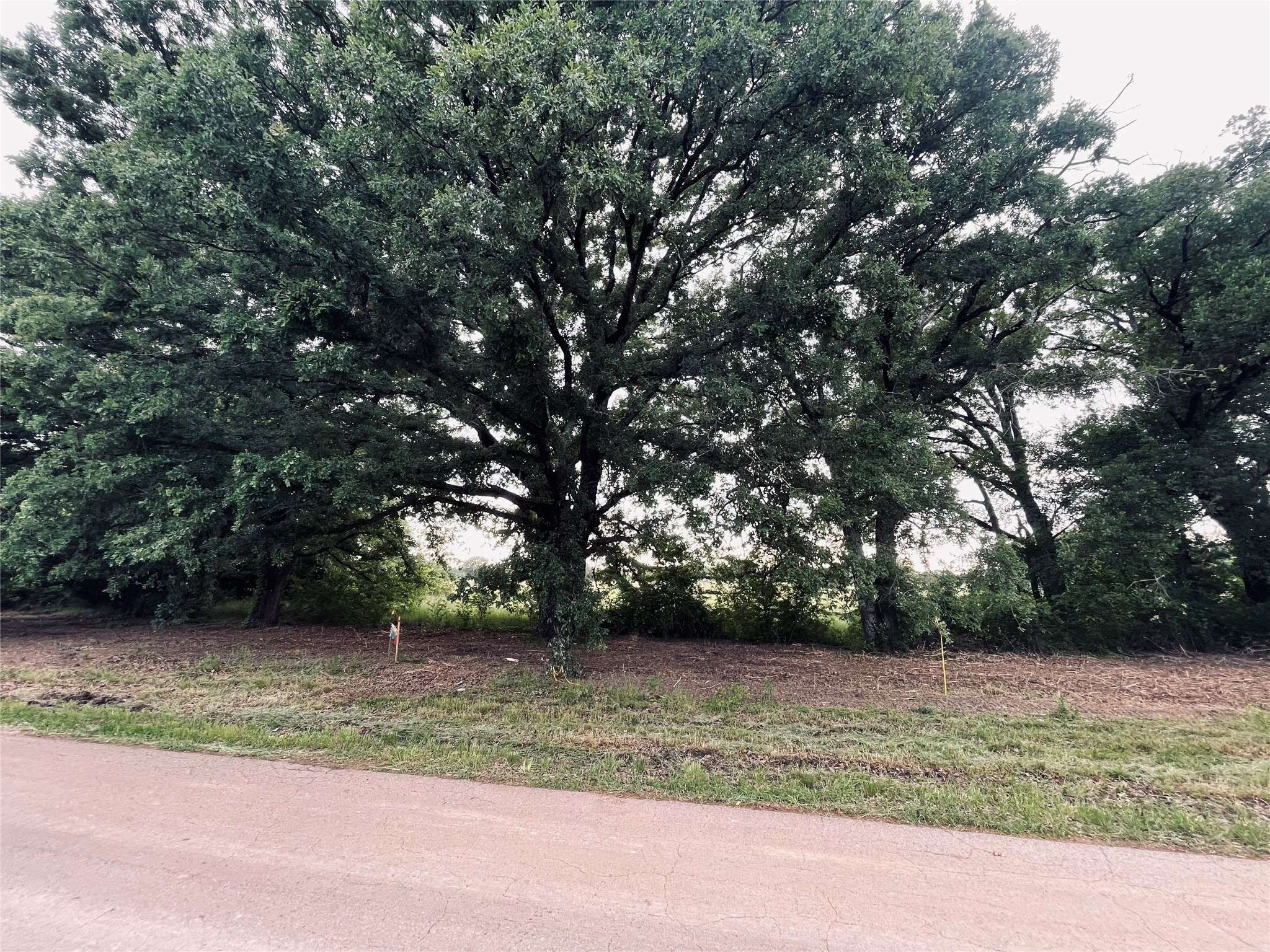 Alba, TX 75410,LOT 4 COUNTY ROAD 1560