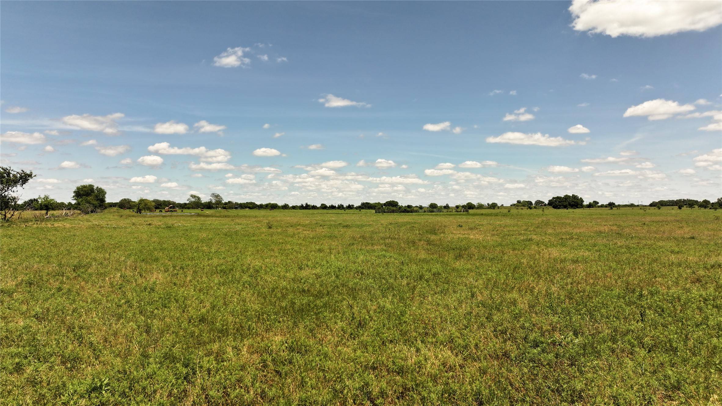 Nocona, TX 76255,1409 Flagley RD
