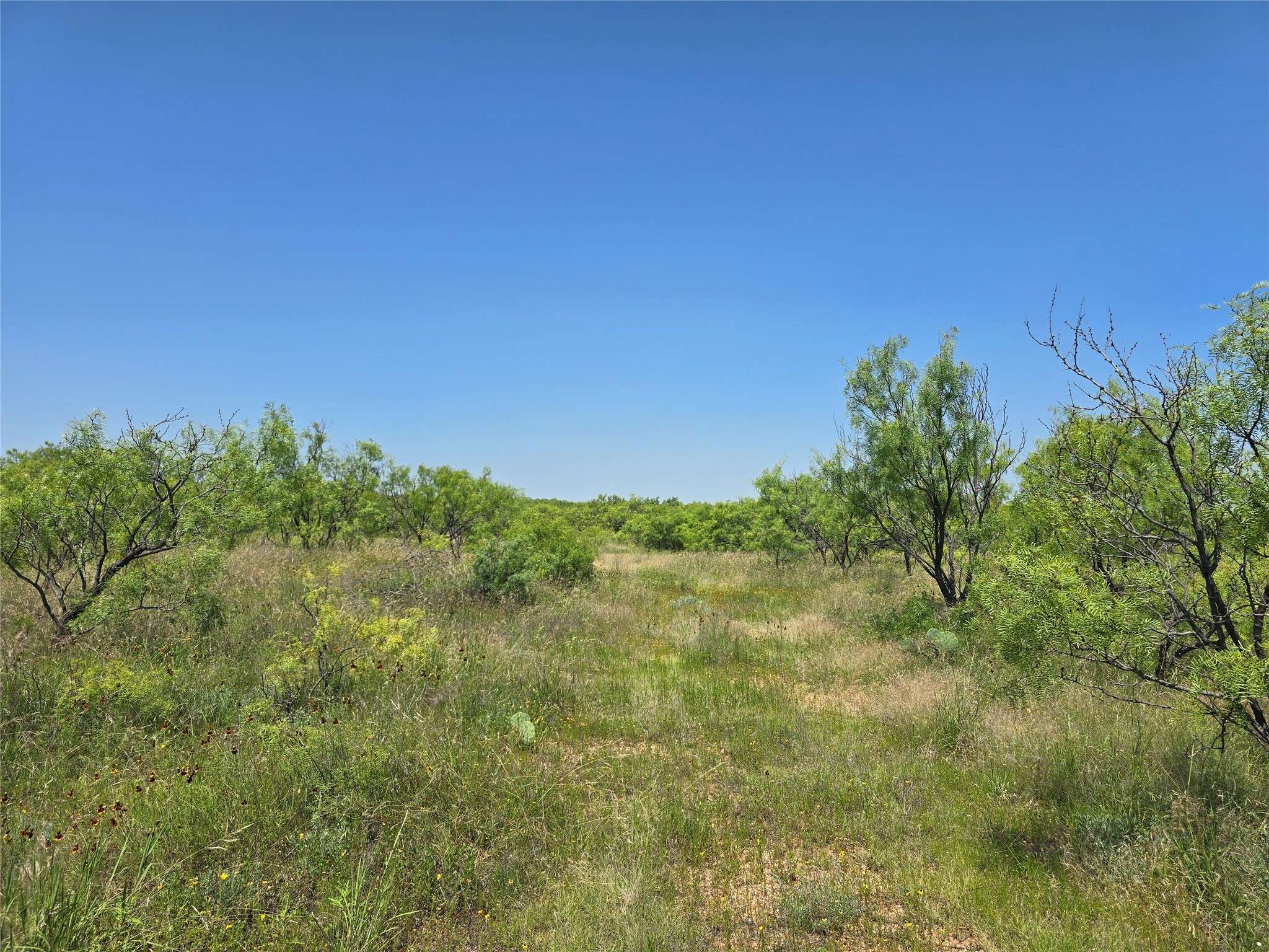 Clyde, TX 79510,TBD CR 258