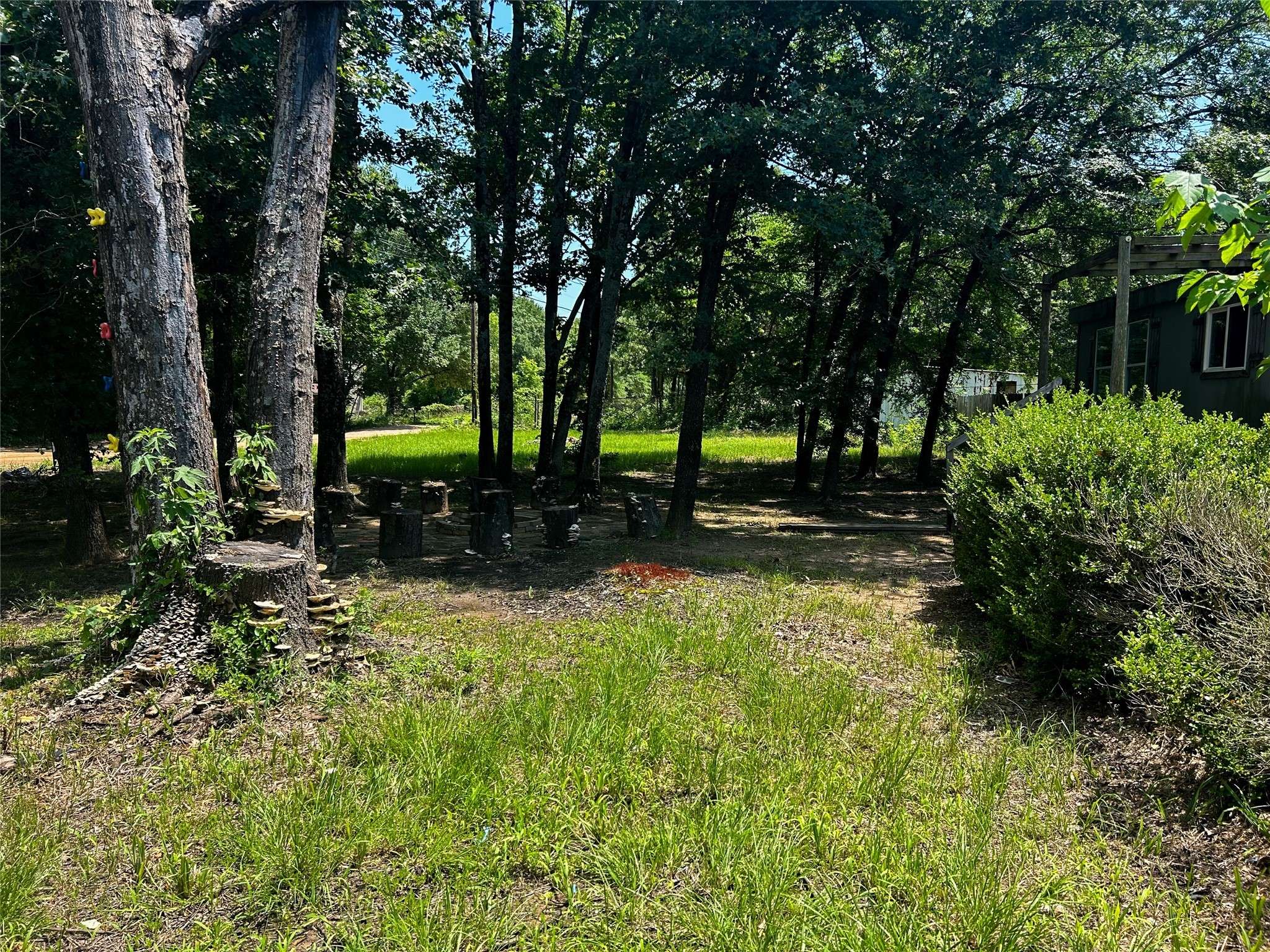 Mabank, TX 75156,120 Timber TRL