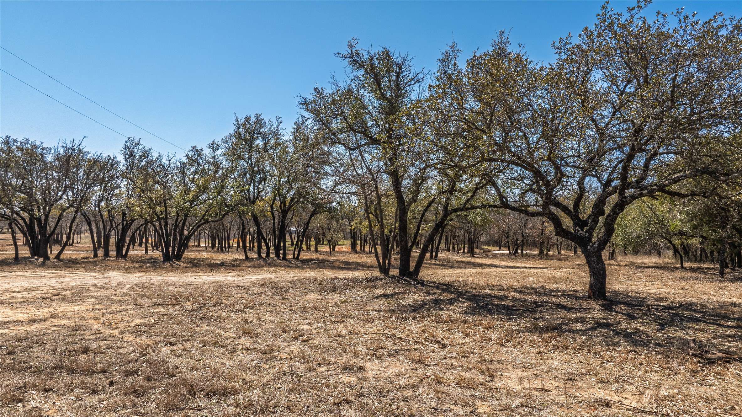 Tolar, TX 76476,1924 Coleman Ranch RD