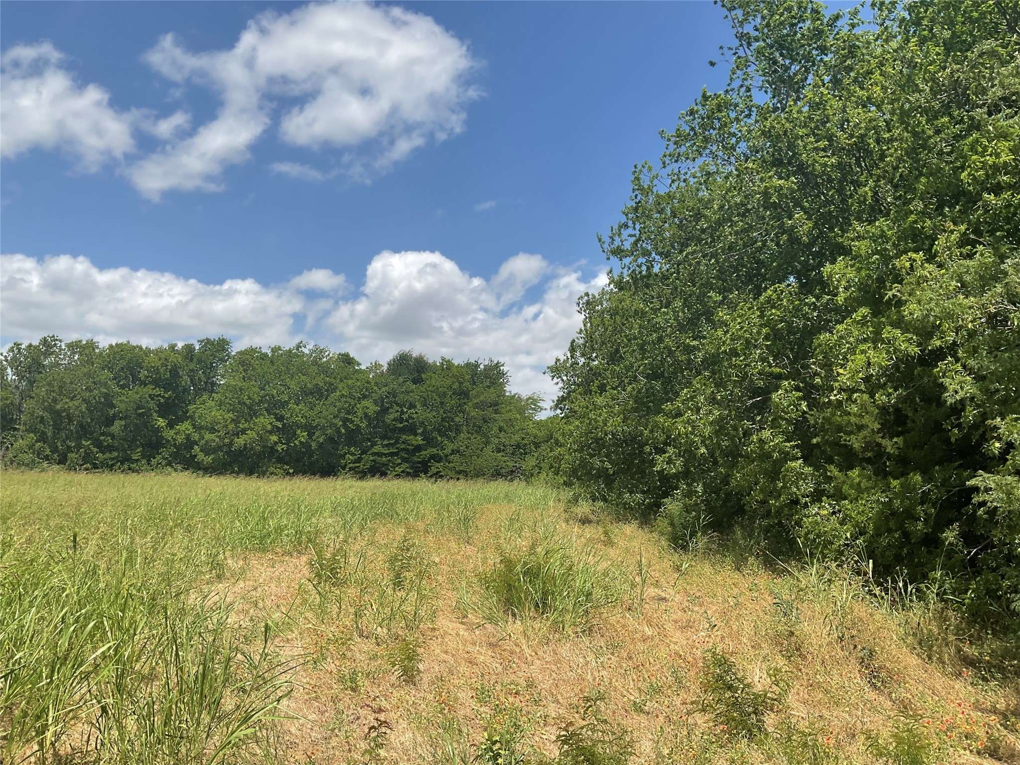 Celina, TX 75009,TBD County Road 171