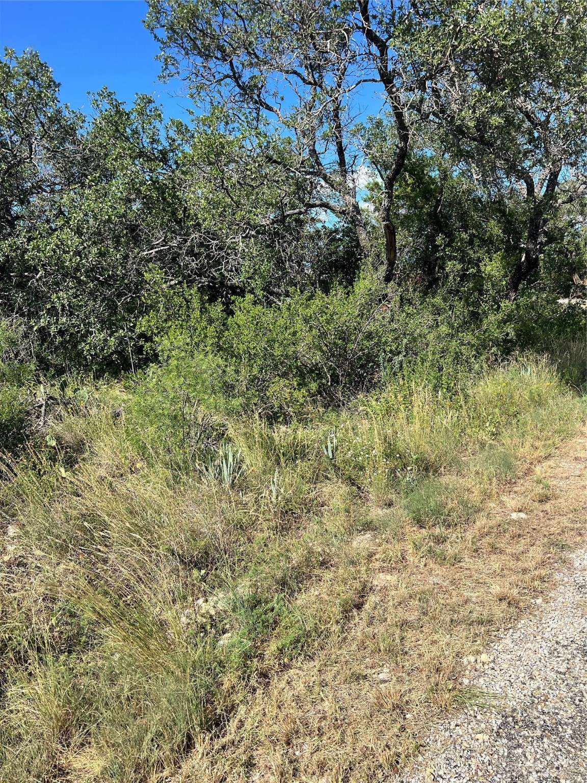 Brownwood, TX 76801,7134 Emerald DR