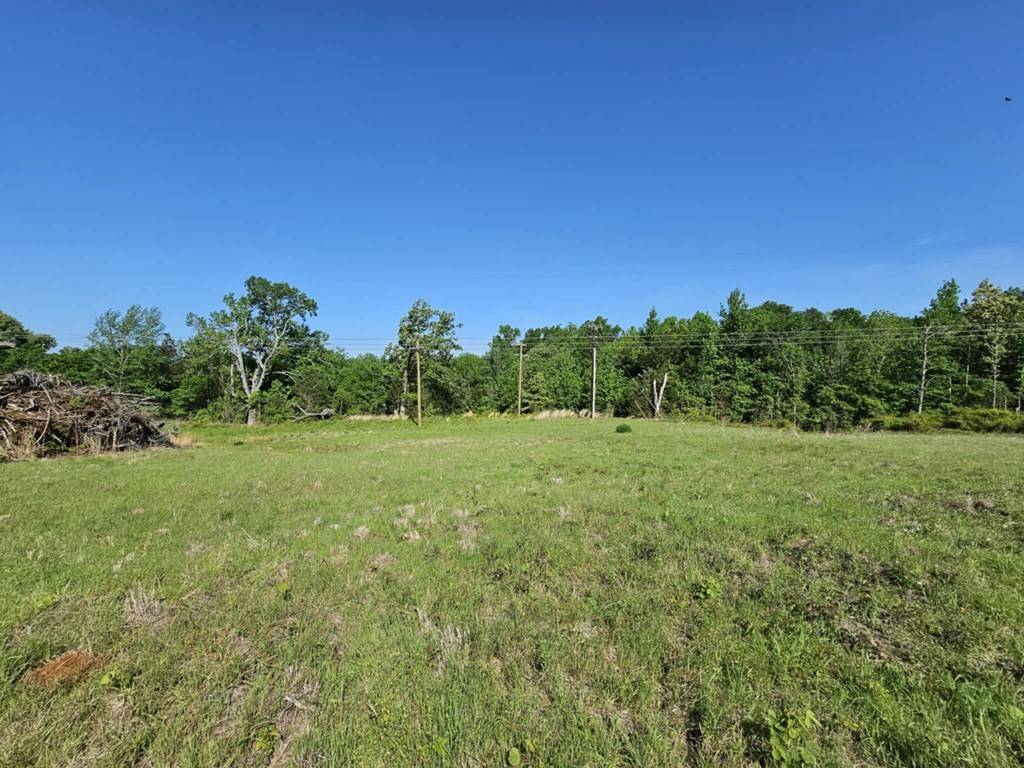 Palestine, TX 75801,0 Willow Creek Dr