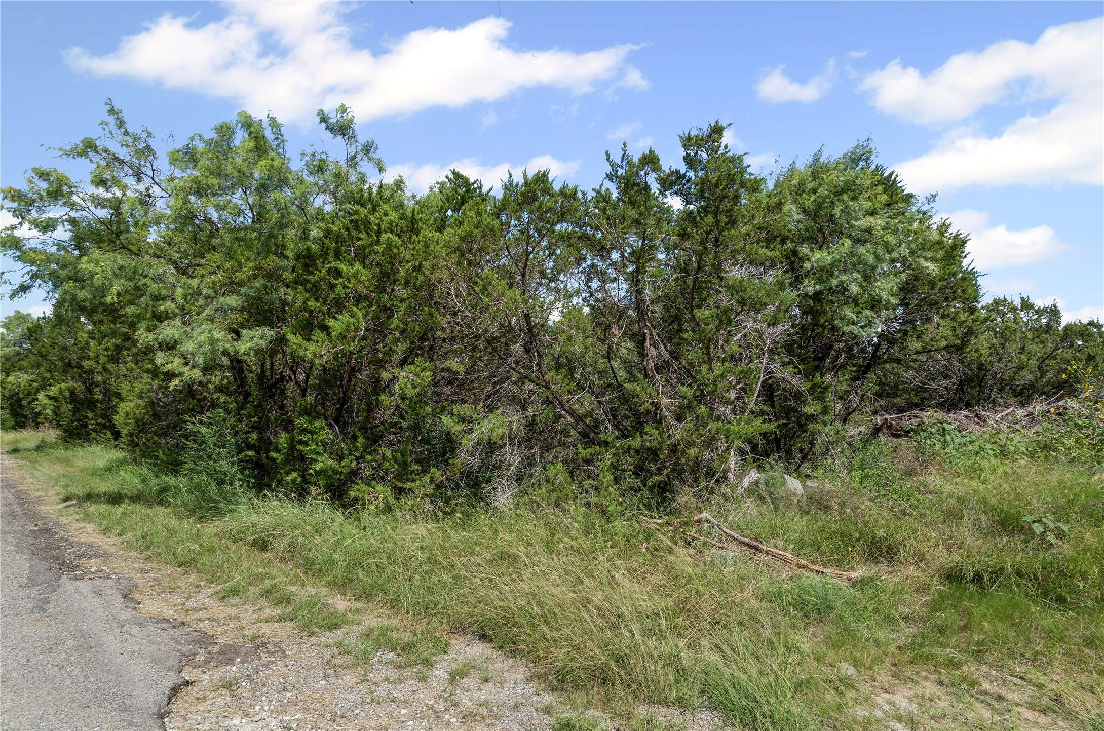 Granbury, TX 76048,821 Pecos River DR