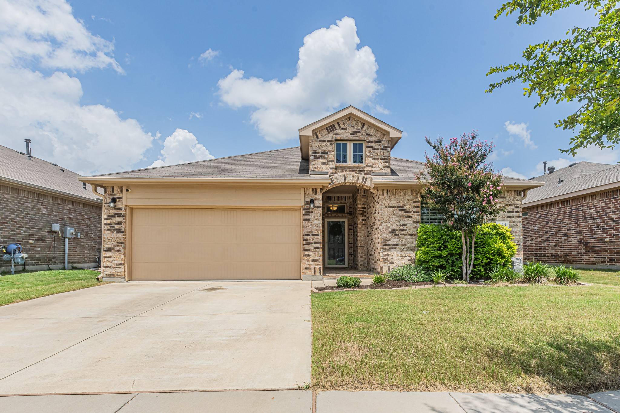Denton, TX 76210,324 Lemon Mint LN