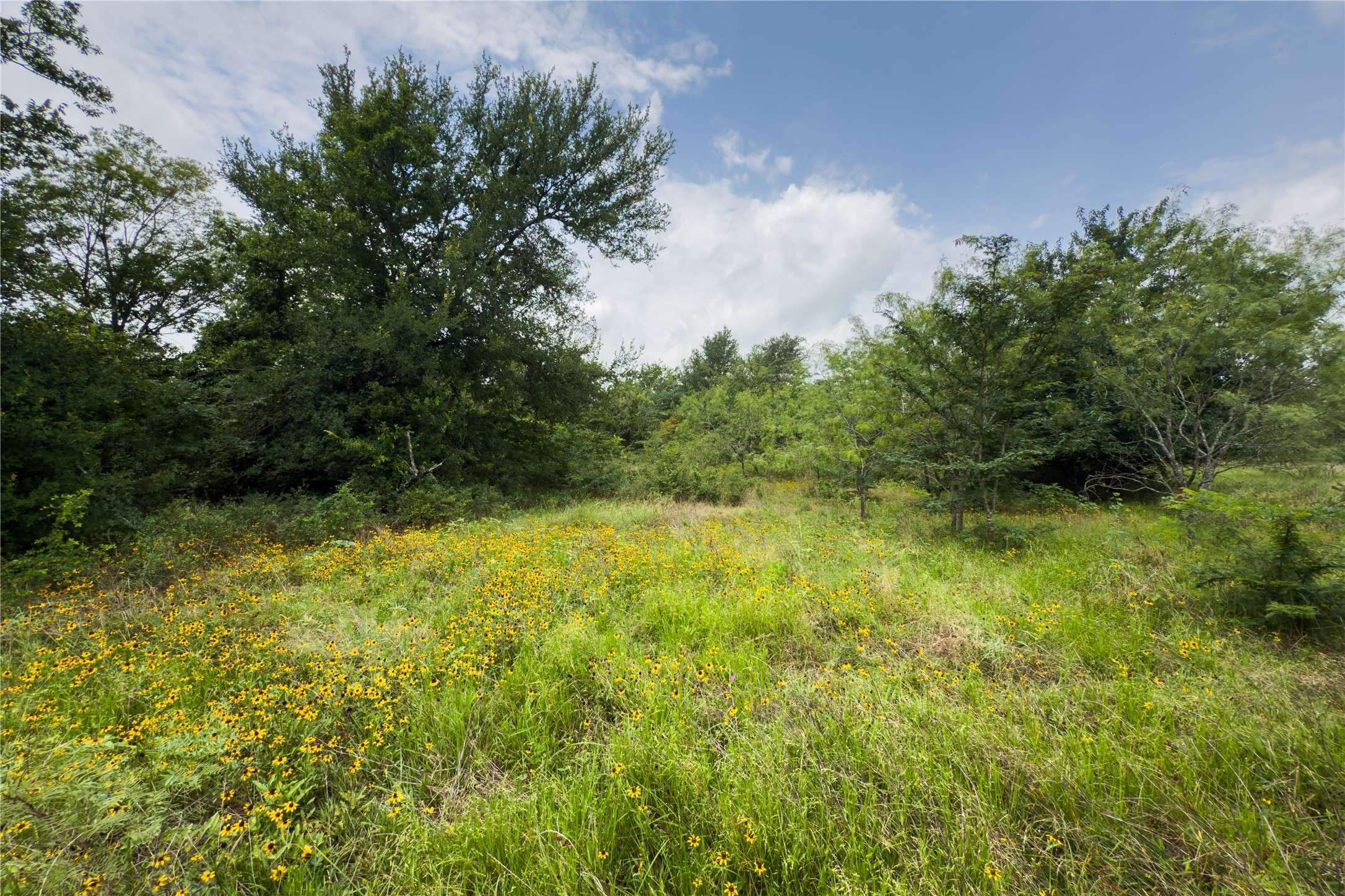 Marlin, TX 76661,Lot 9 County Road 173