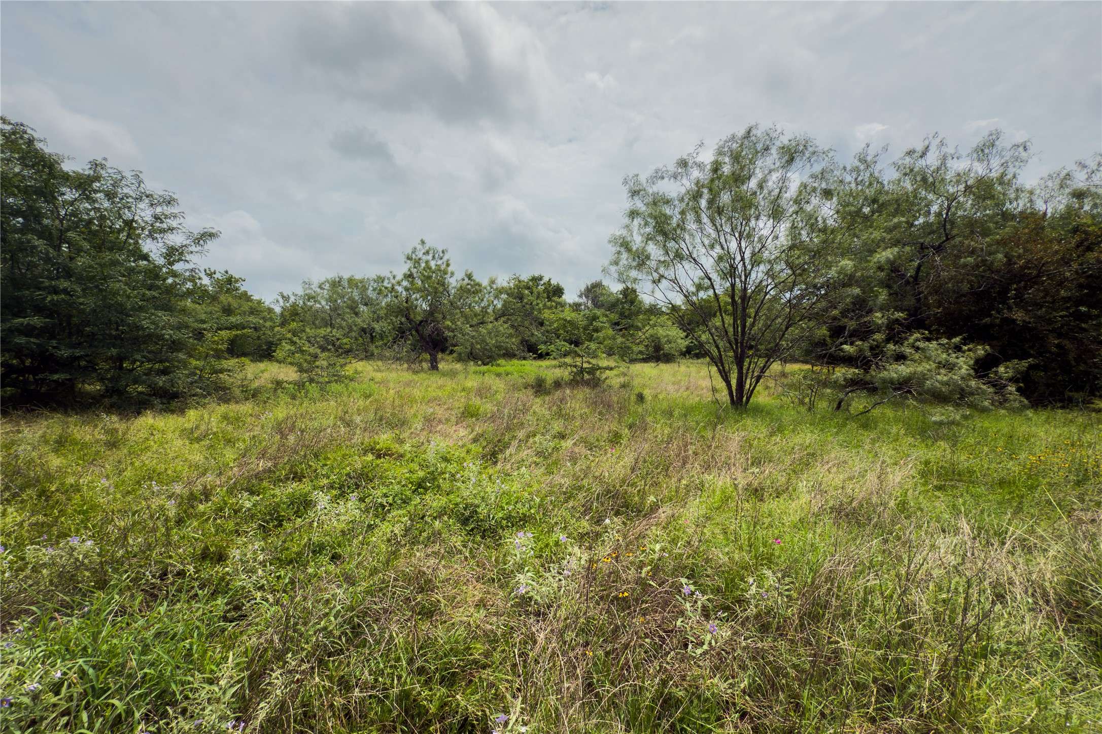 Marlin, TX 76661,Lot 7 County Road 173