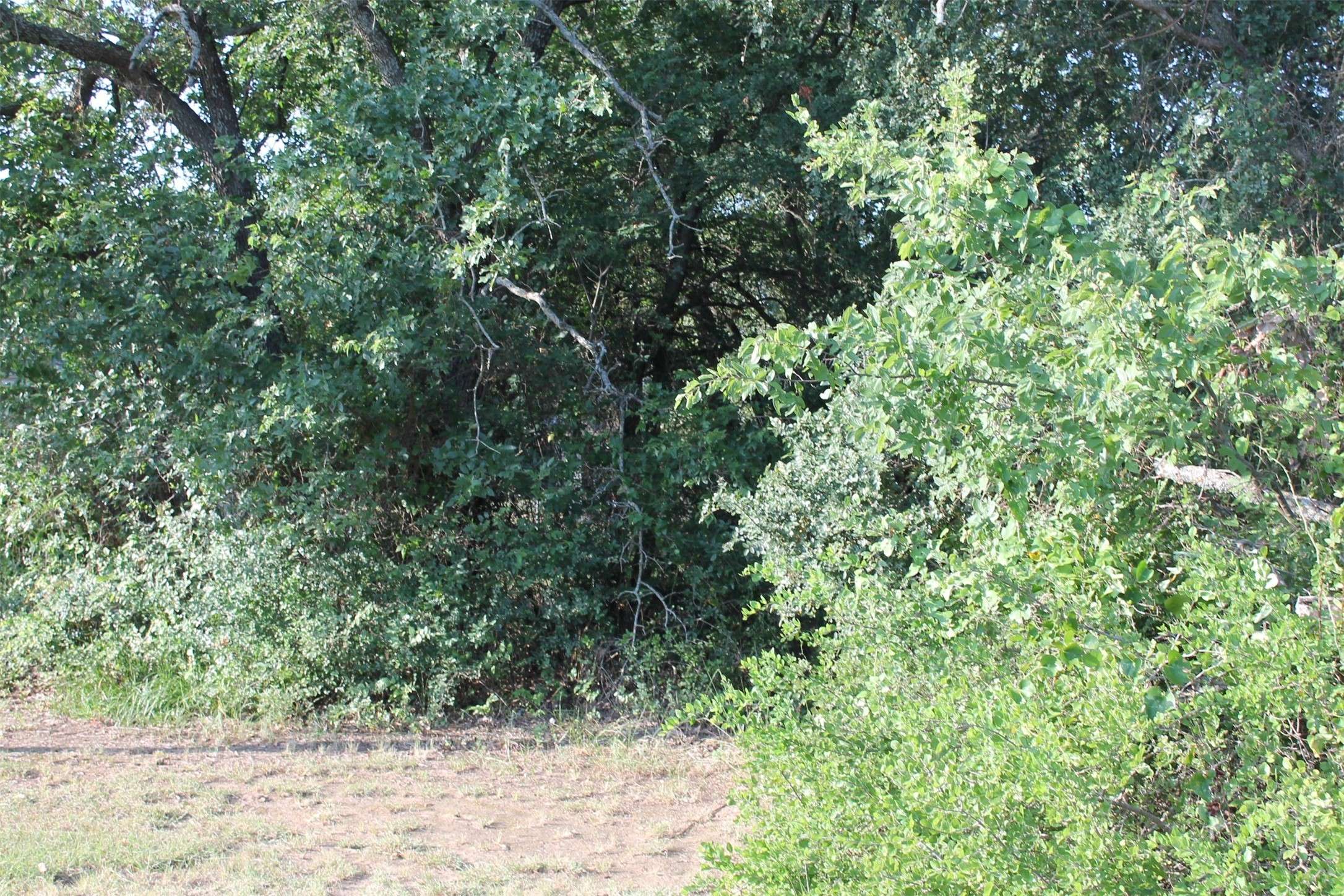 Runaway Bay, TX 76426,Lot 4 Port O Call DR