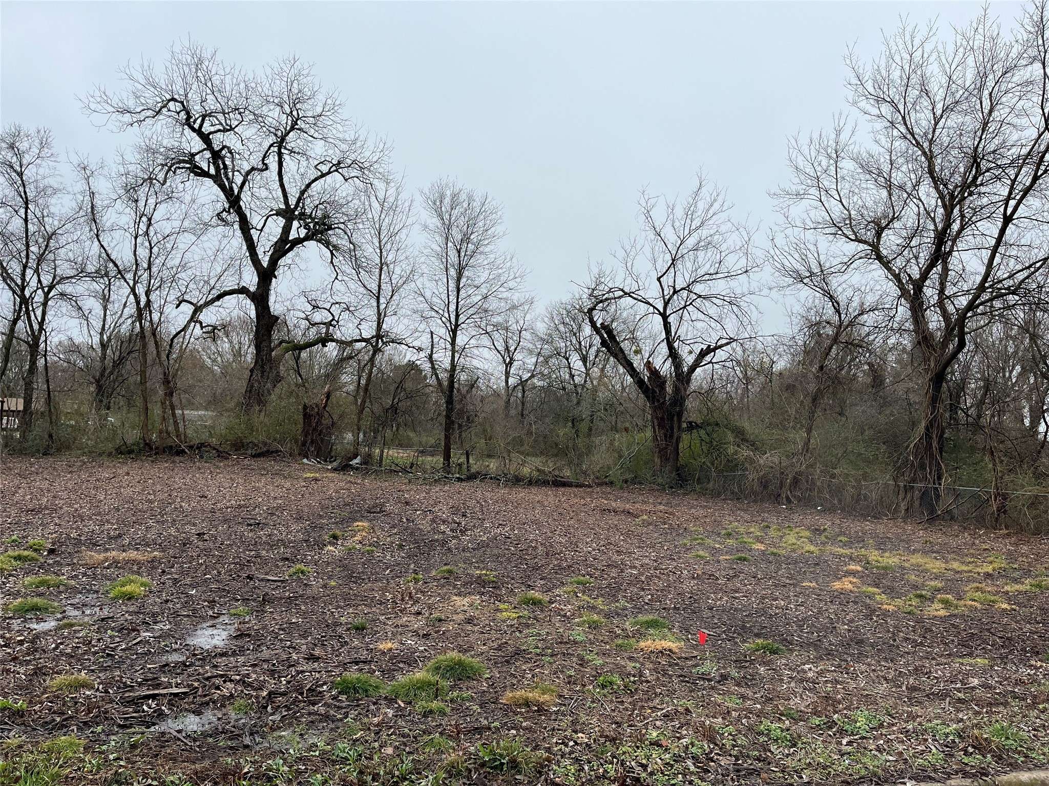 Paris, TX 75460,1024 NE 3RD STREET