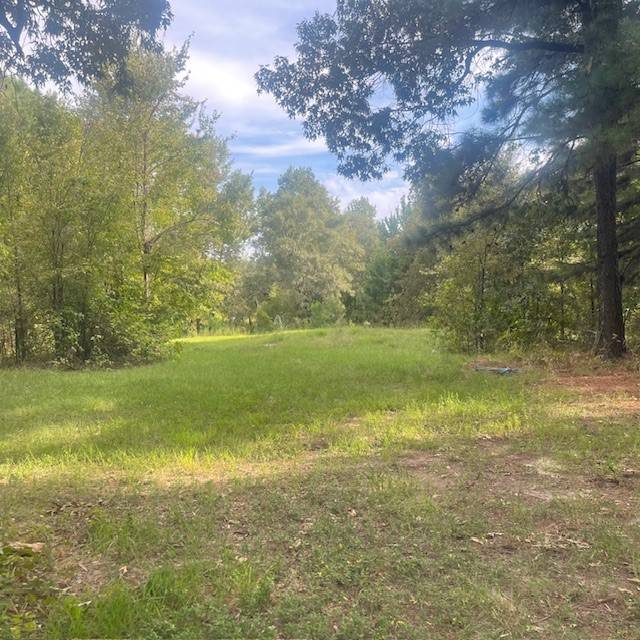 Mineola, TX 75773,205 County Road 2880