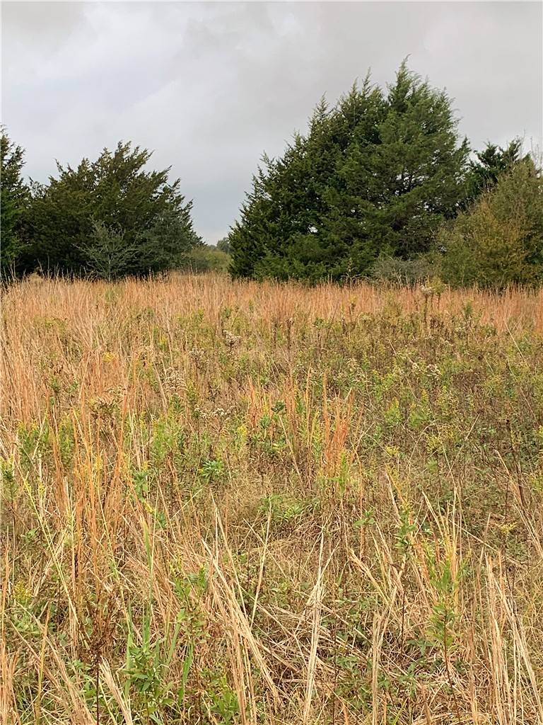Kosse, TX 76653,6 Acres LCR 731