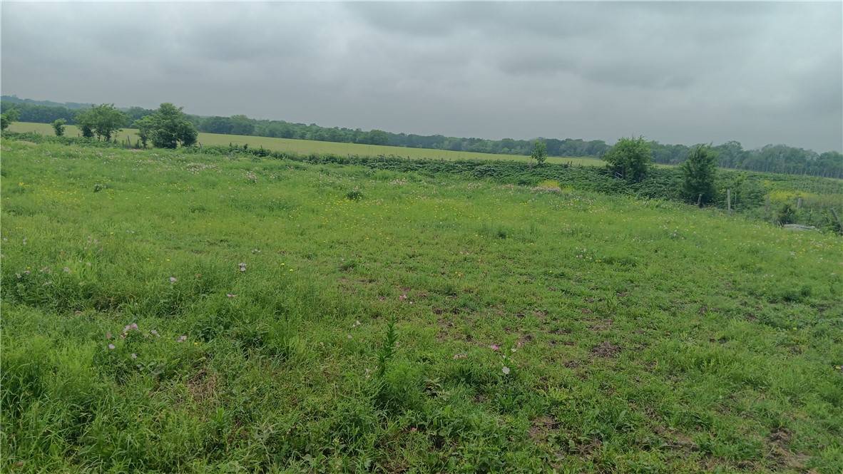 Chilton, TX 76632,TBD CR 494N
