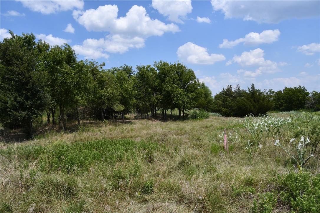 Mount Calm, TX 76673,Lot 8 HCR 3363