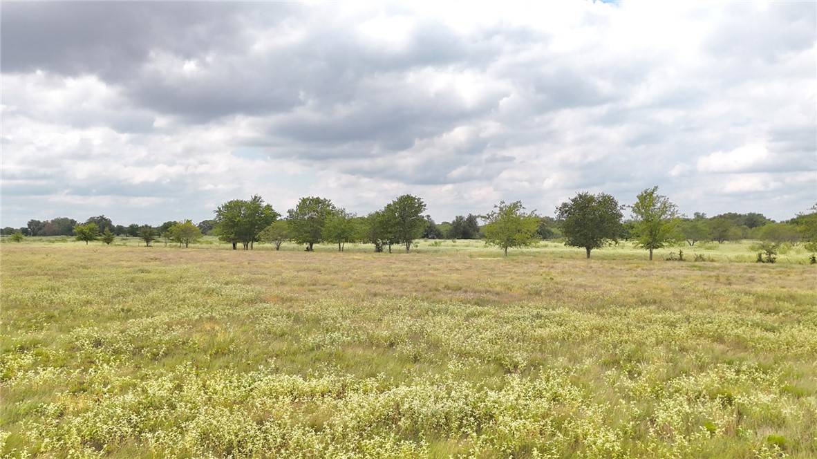 Reagan, TX 76680,123 CR 217