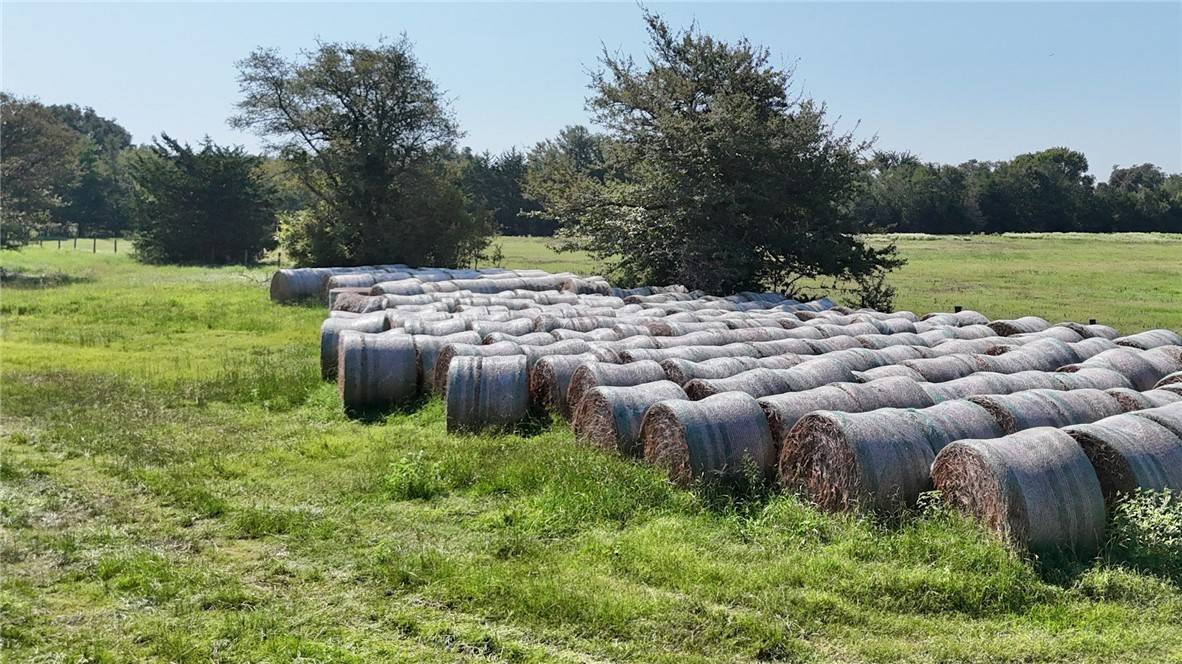 Thornton, TX 76687,TBD State Hwy 14 HWY