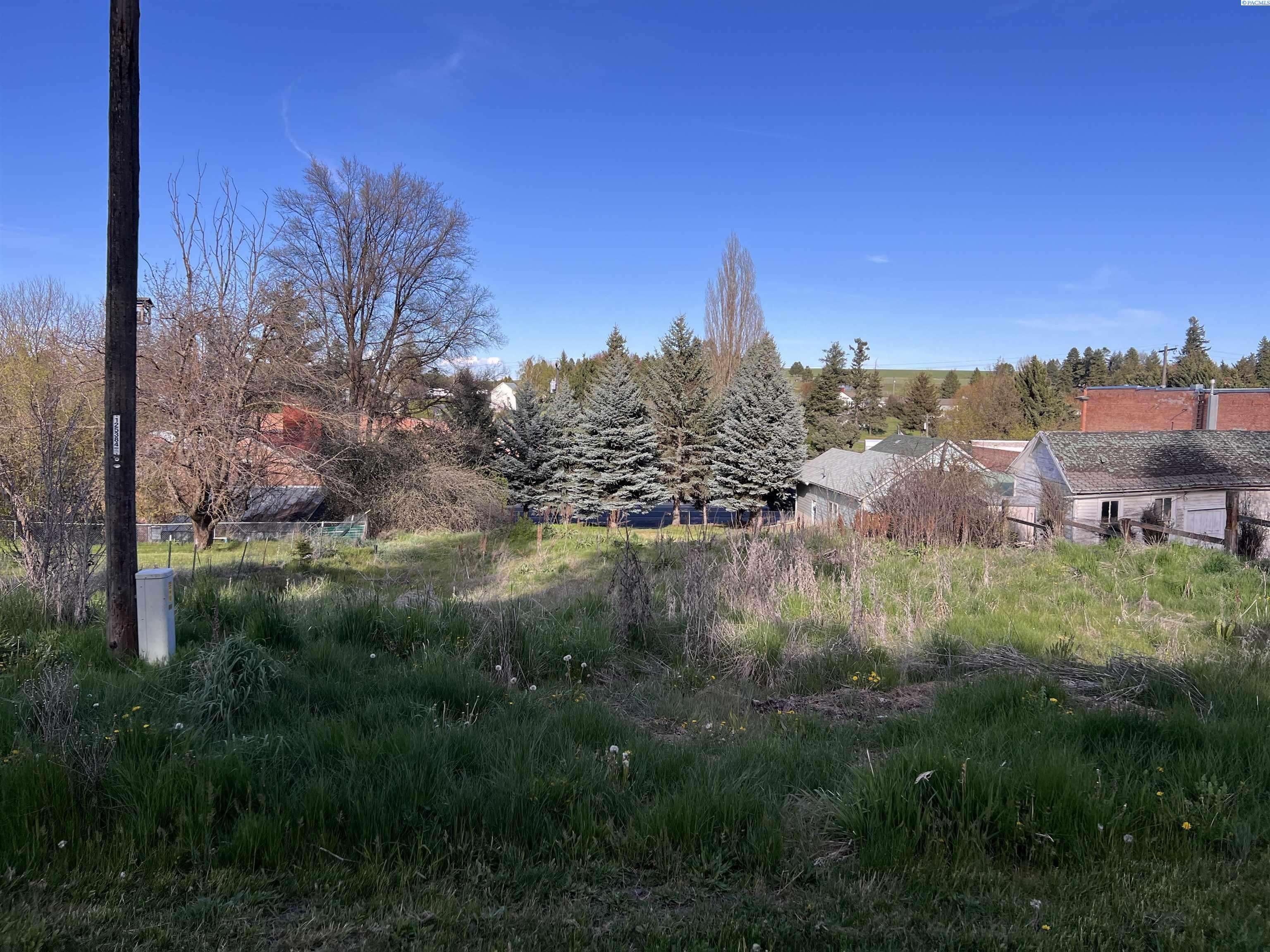 Uniontown, WA 99179,111 S High St