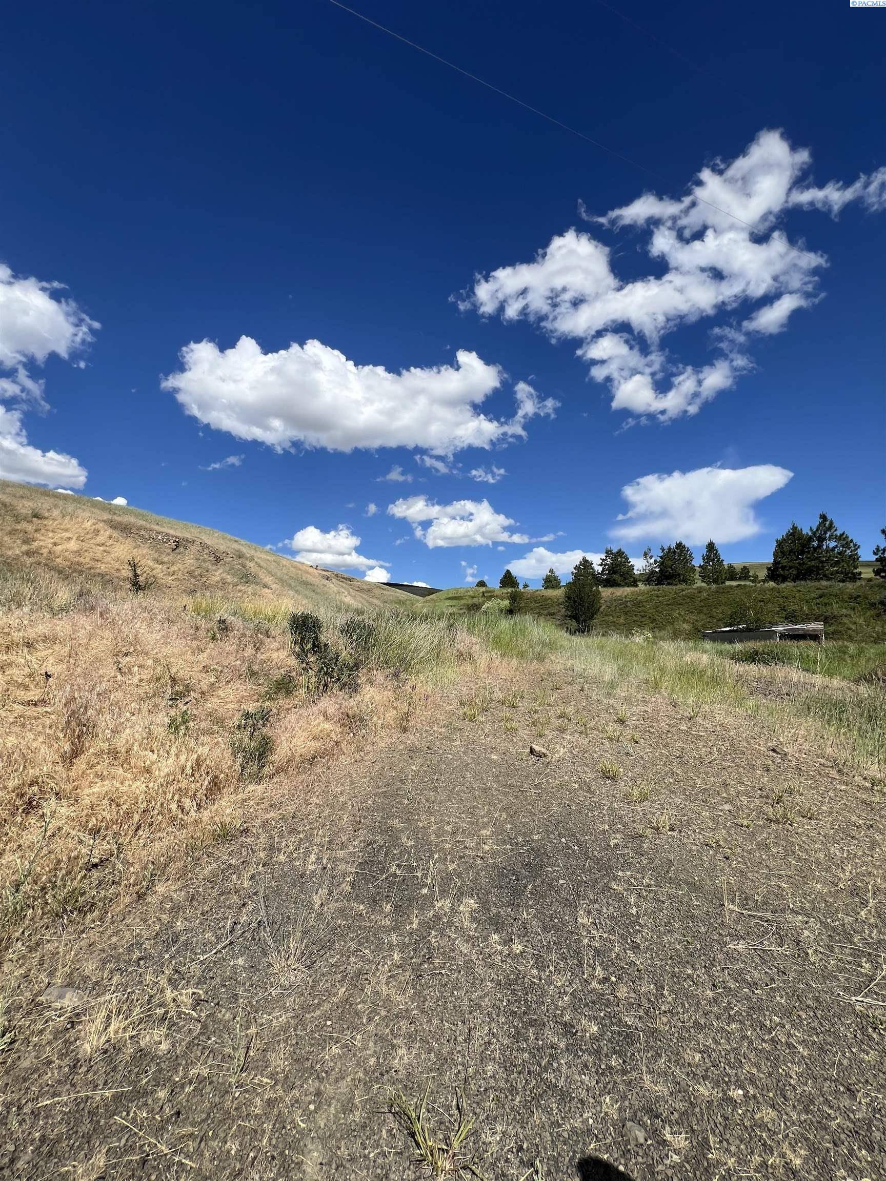 Pomeroy, WA 99347,659 Linville Gulch Rd