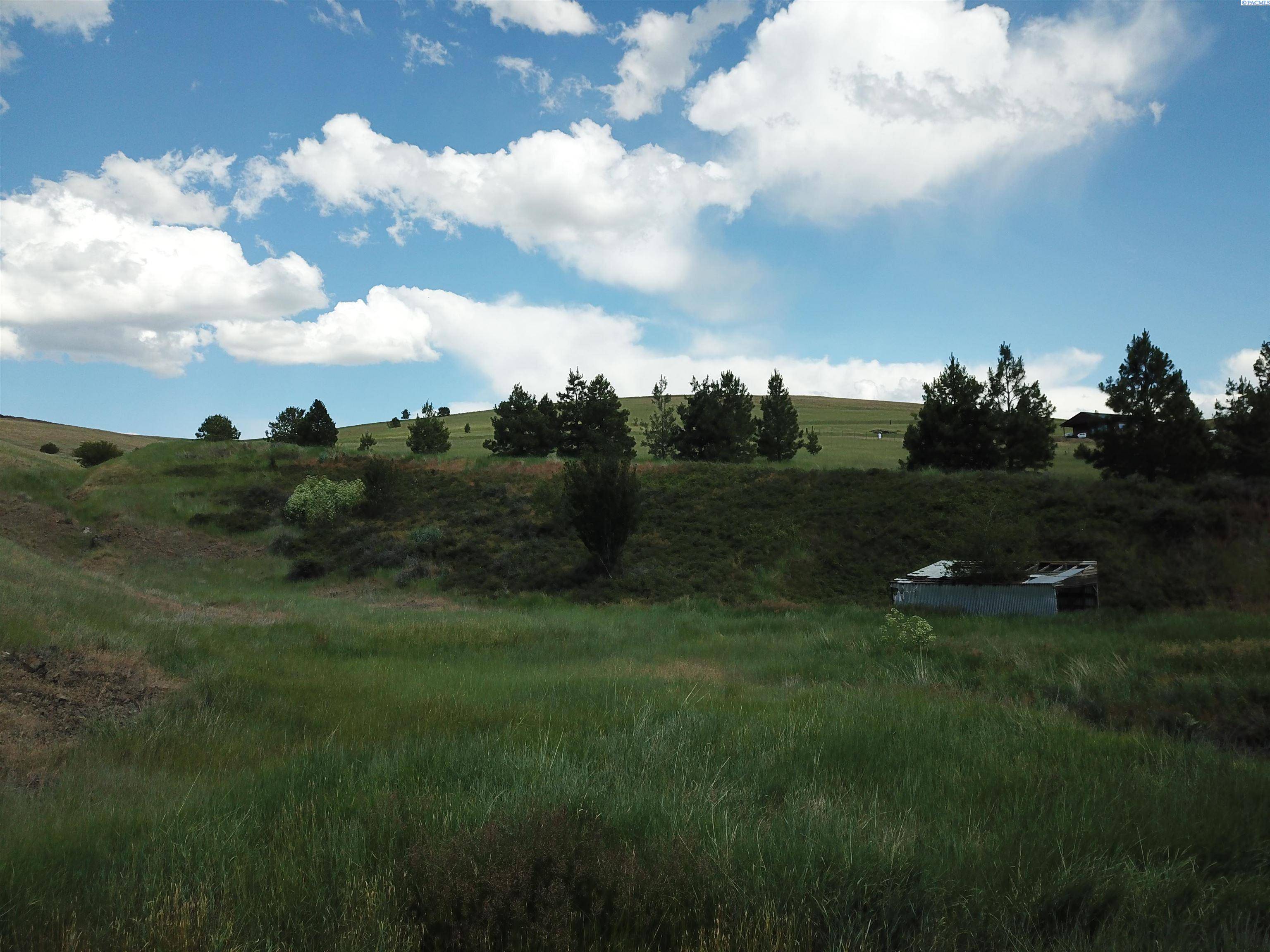 Pomeroy, WA 99347,659 Linville Gulch Rd