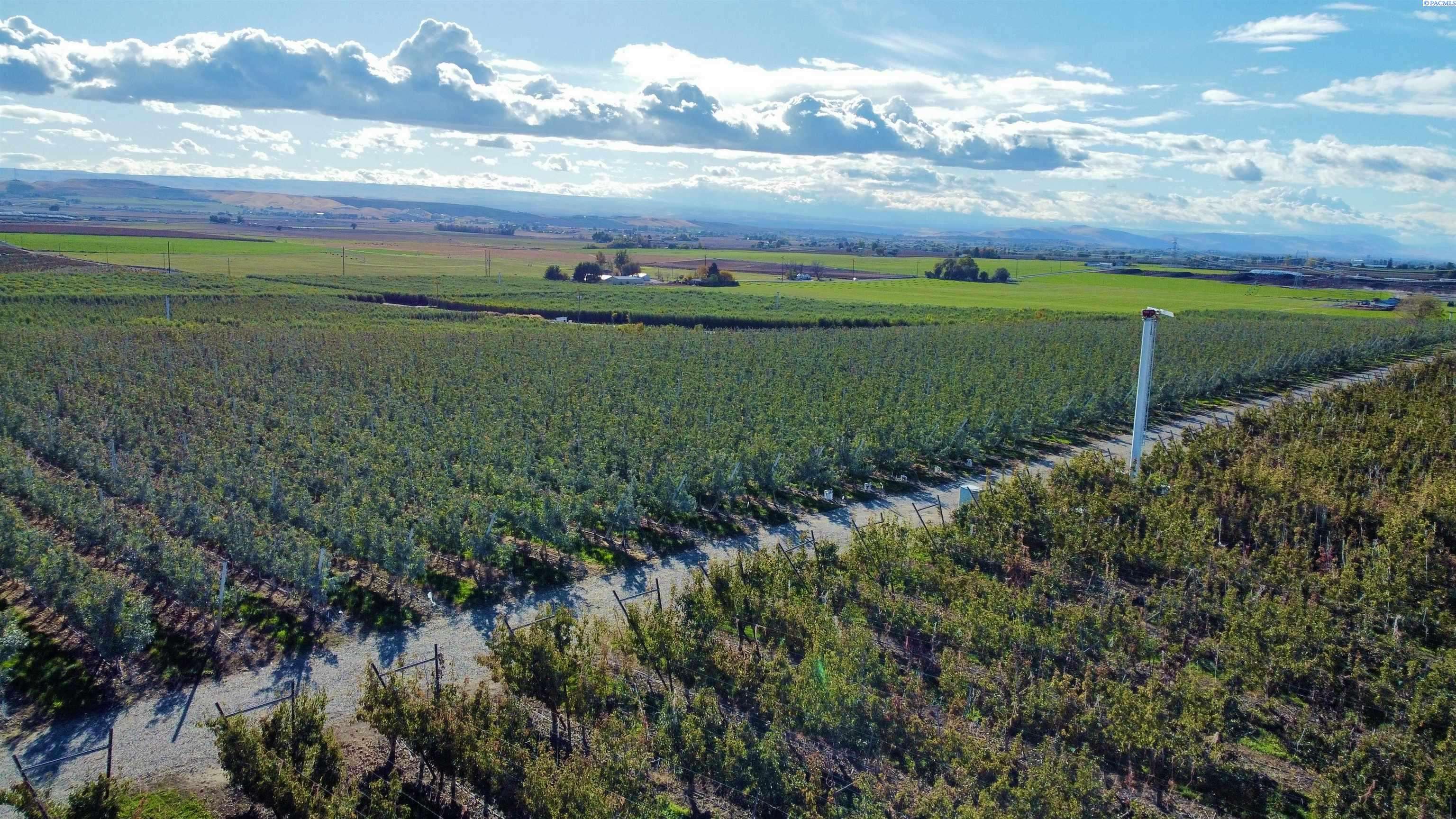 Sunnyside, WA 98944,NKA (#2) Phipps Rd.