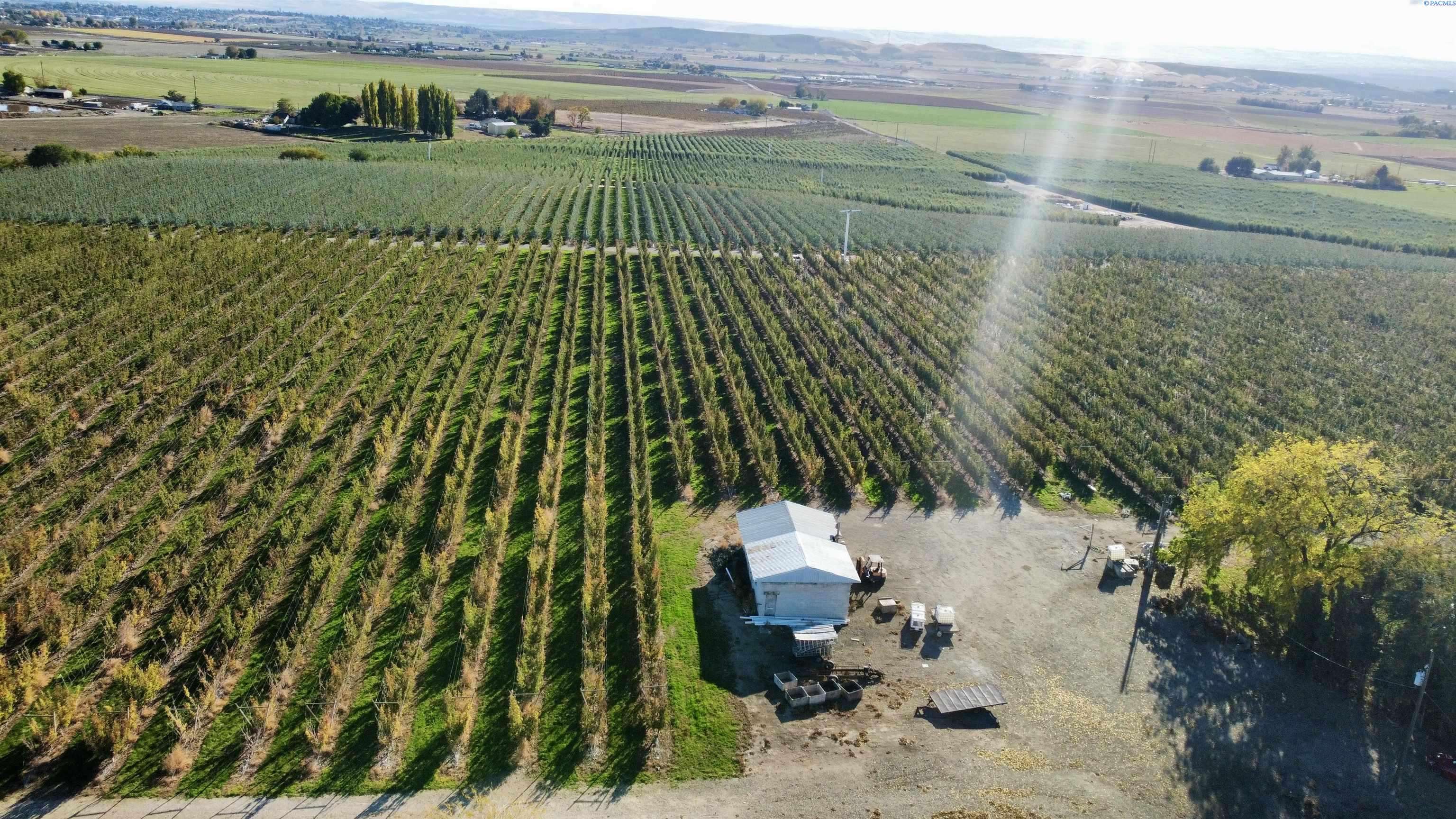 Sunnyside, WA 98944,NKA (#2) Phipps Rd.