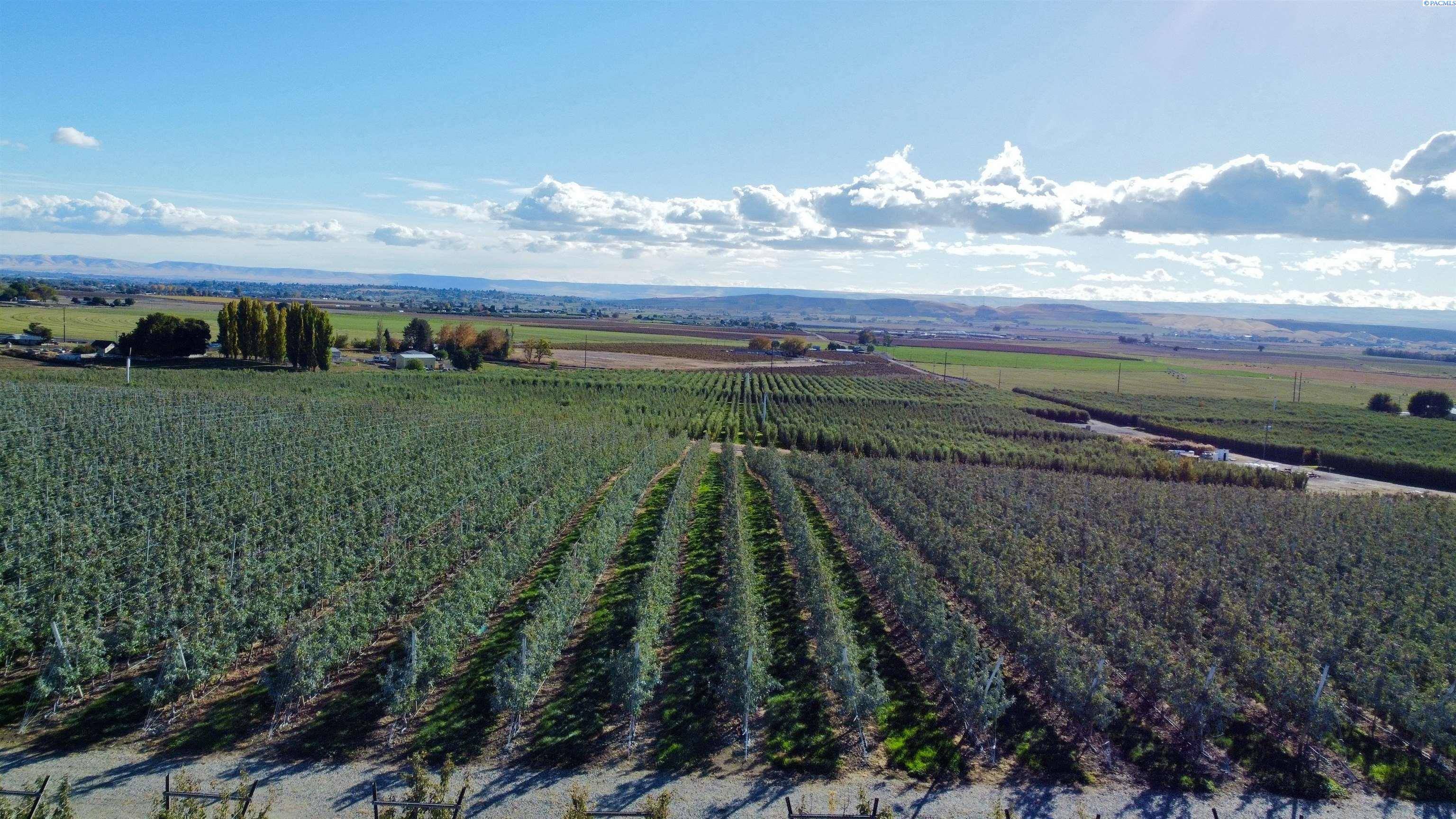 Sunnyside, WA 98944,NKA (#3) Phipps Rd.