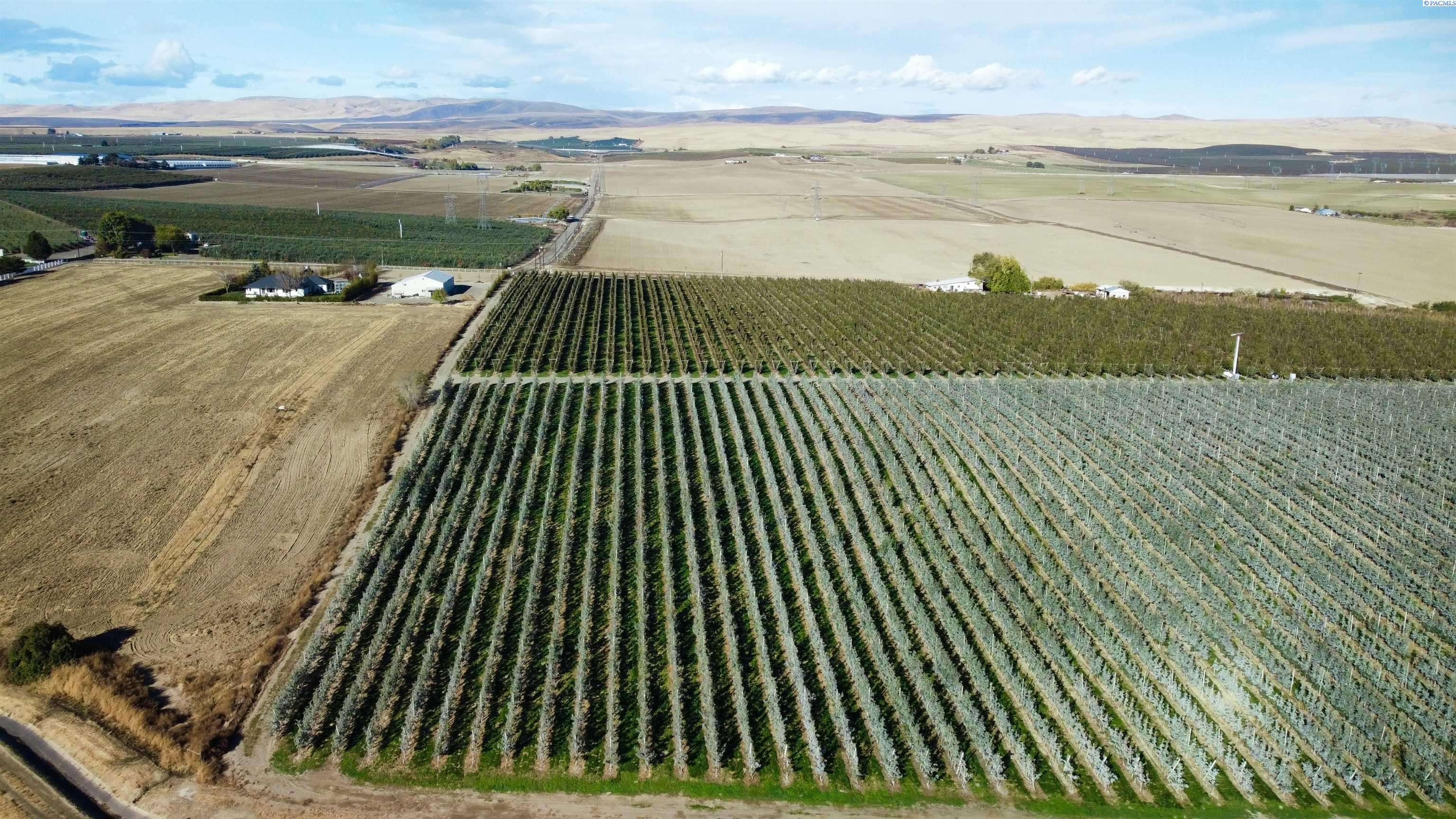 Sunnyside, WA 98944,NKA (#4) Phipps Rd.
