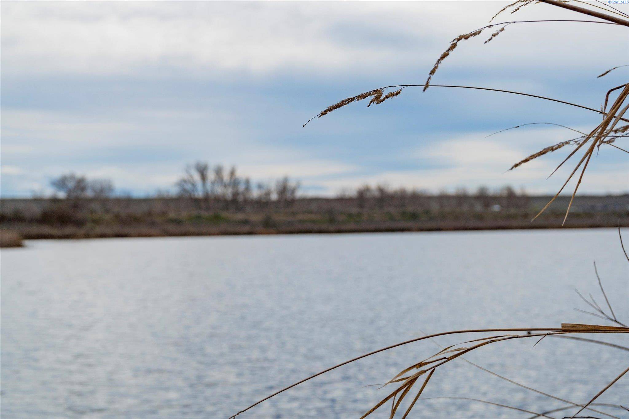 Plymouth, WA 99346,Lot 15 River Crest Pl.