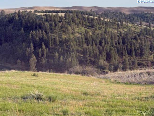 Colfax, WA 99111,Lot 5 Red Tail Ridge