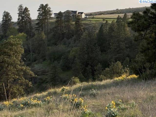 Colfax, WA 99111,Lot 5 Red Tail Ridge