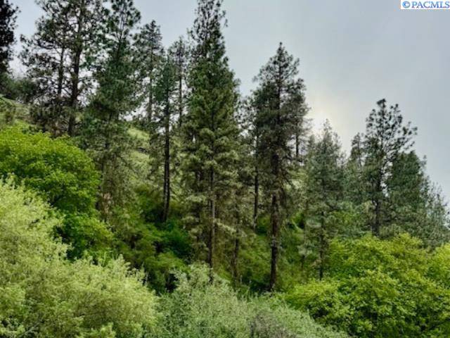 Colfax, WA 99111,TBD By Perkins St