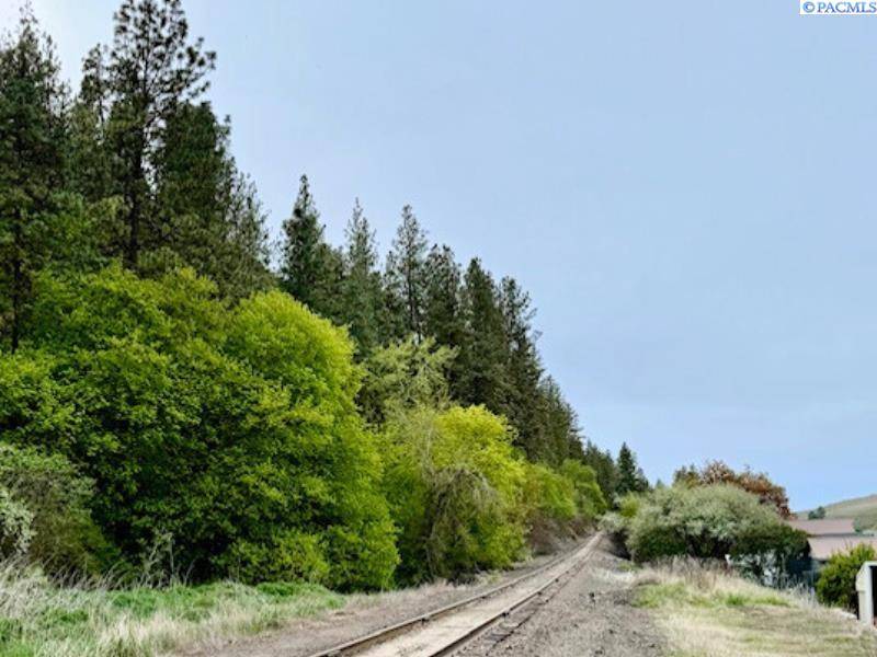 Colfax, WA 99111,TBD By Perkins St